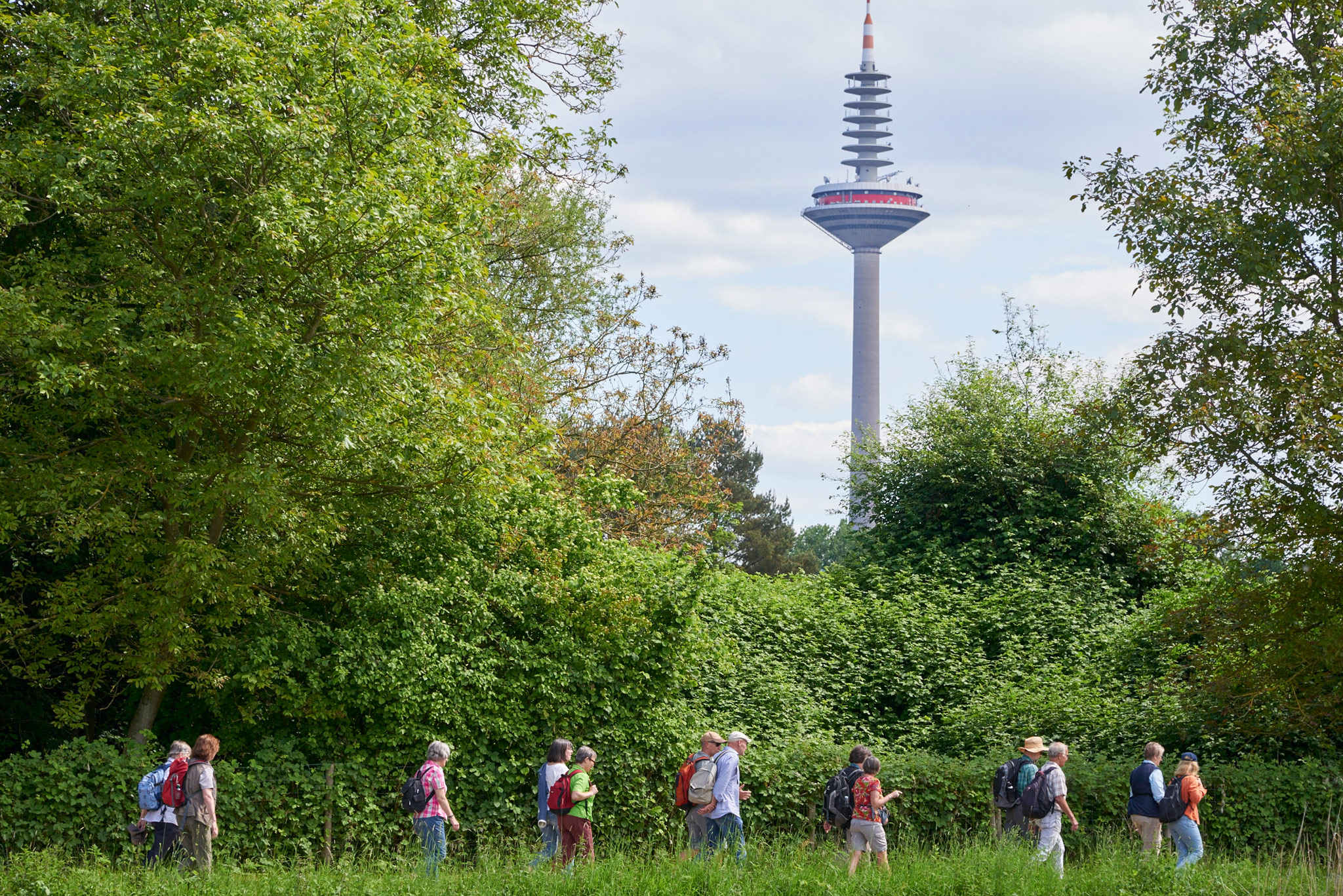 Wandern im grünen mit dem Fernsehturm im Blick © Umweltamt der Stadt Frankfurt/Stefan Cop